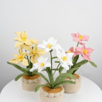 Beautiful Handmade Crochet Orchid Flowers In Pot Home Decor Teacher's Gift Thank You Gift