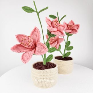 Beautiful Handcrafted Crochet Bombax Ceiba Flower In Pot Mother's Day Graduation Birthday Valentine's Day Gift